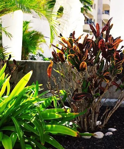 Paradise Ocean * 阿德耶